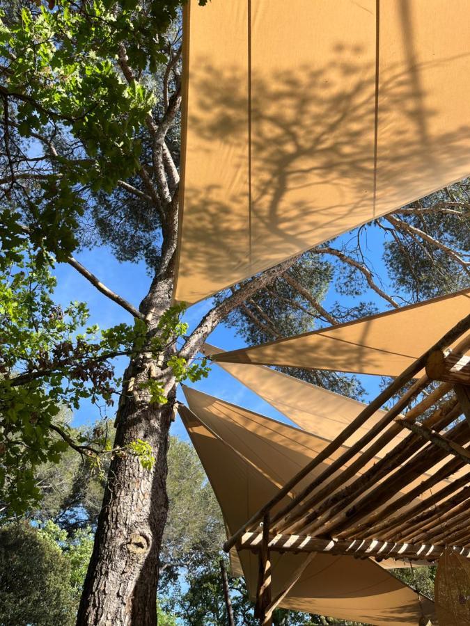 朗贝斯克La Bastide Des Grands Chenes住宿加早餐旅馆 外观 照片